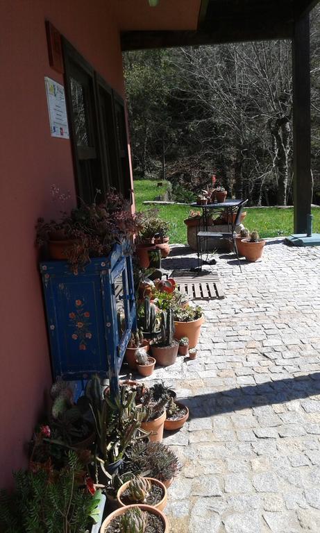 Eco Camping Juncal Hotel Marco de Canaveses Exterior photo