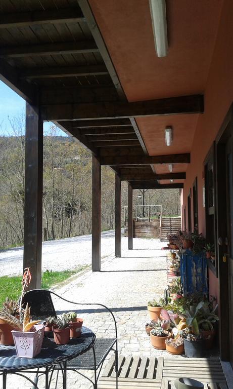 Eco Camping Juncal Hotel Marco de Canaveses Exterior photo